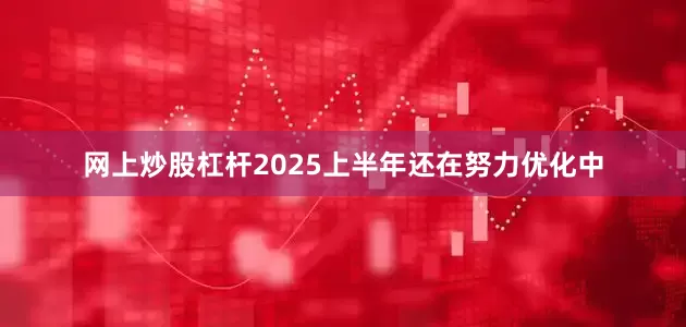网上炒股杠杆2025上半年还在努力优化中