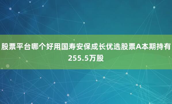 股票平台哪个好用国寿安保成长优选股票A本期持有255.5万股